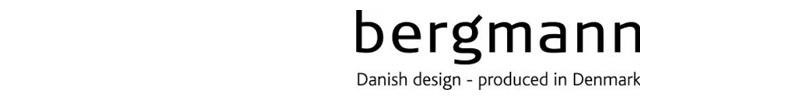 Bergmann_logo.jpg