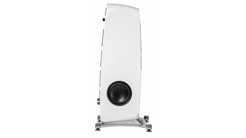 showimage (29).png
